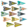 LITTLE CAMPER BABY MILESTONE PENNANT SET