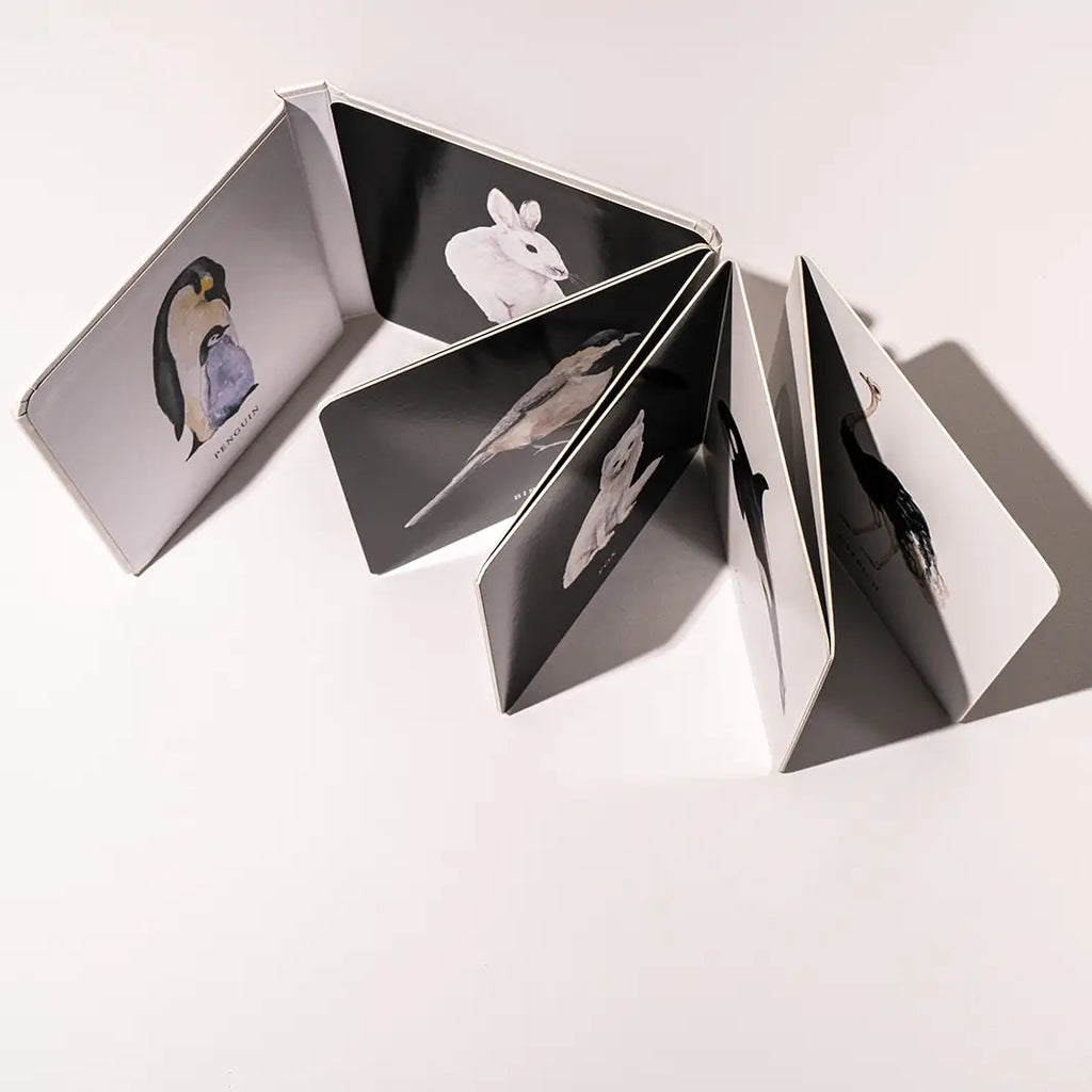 BLACK & WHITE CONTRAST BOOK