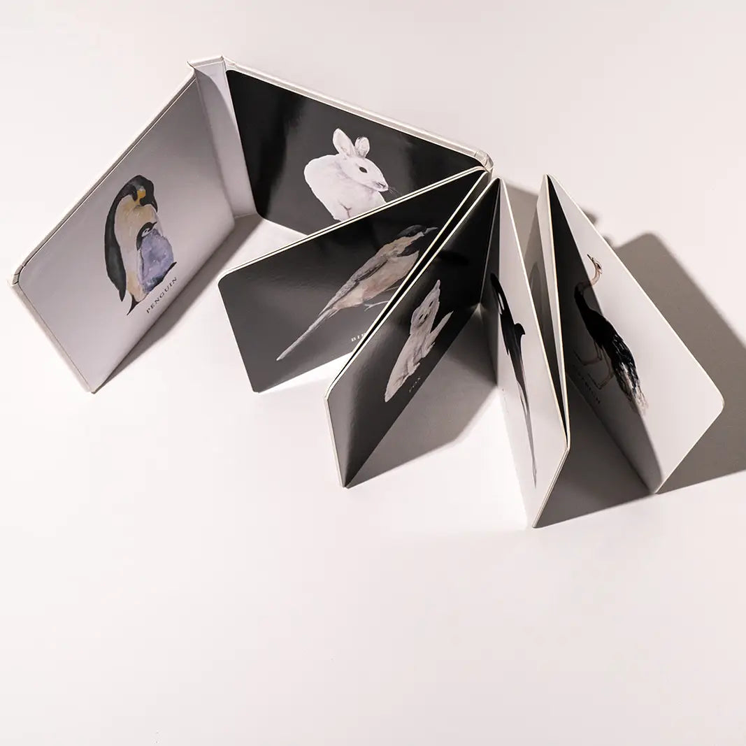 BLACK & WHITE CONTRAST BOOK