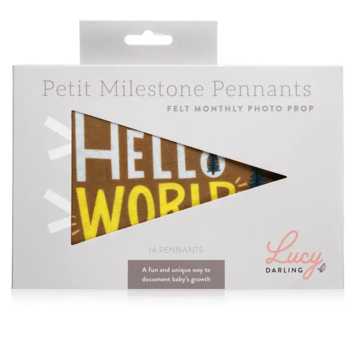 LITTLE CAMPER BABY MILESTONE PENNANT SET