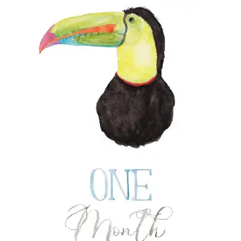 SAFARI ANIMAL MONTHLY MILESTONE CARDS