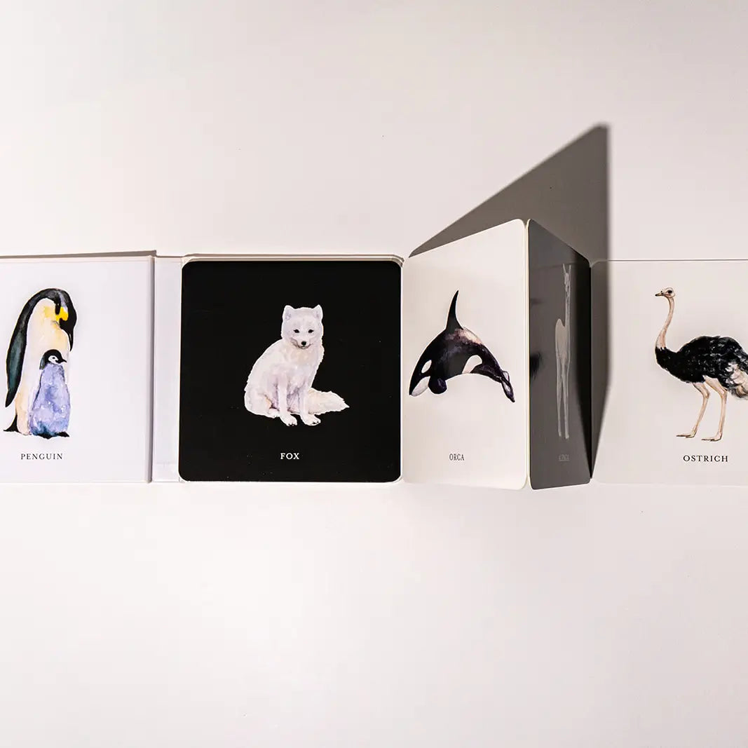 BLACK & WHITE CONTRAST BOOK