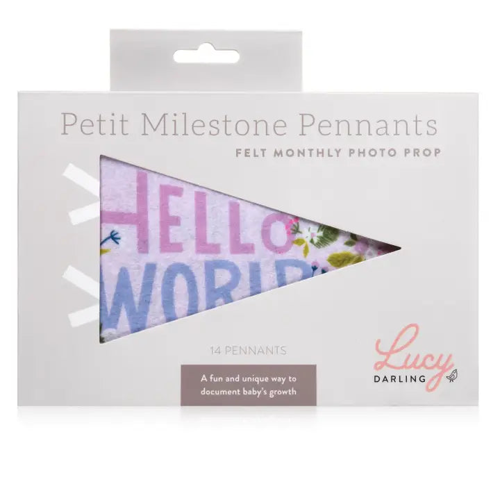 LITTLE ARTIST BABY MILESTONE PENNANT SET