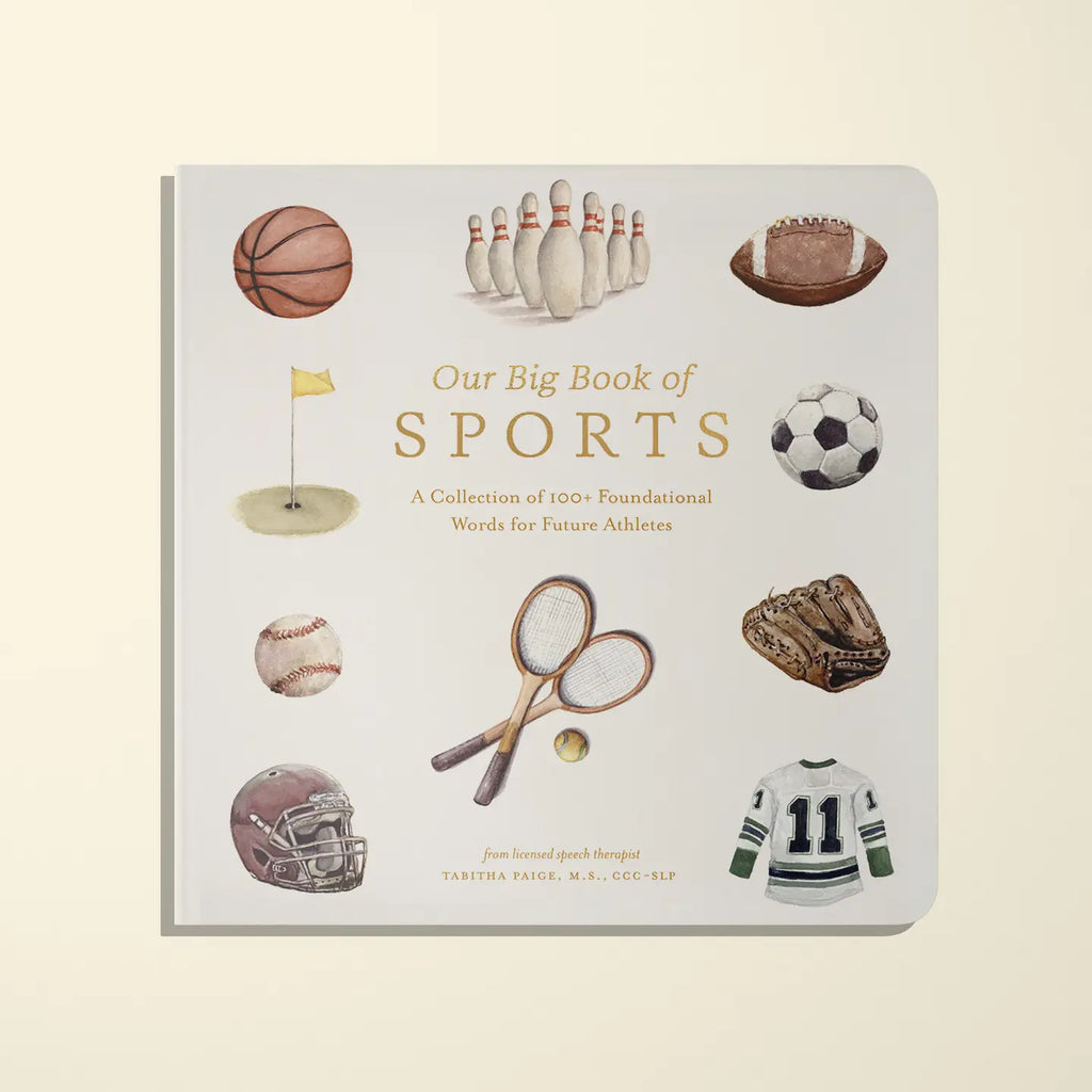 BIG BOOK OF SPORTS