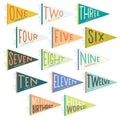 LITTLE KALEIDOSCOPE BABY MILESTONE PENNANT SET
