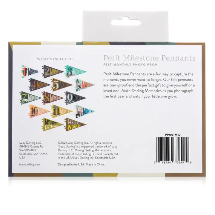 LITTLE CAMPER BABY MILESTONE PENNANT SET