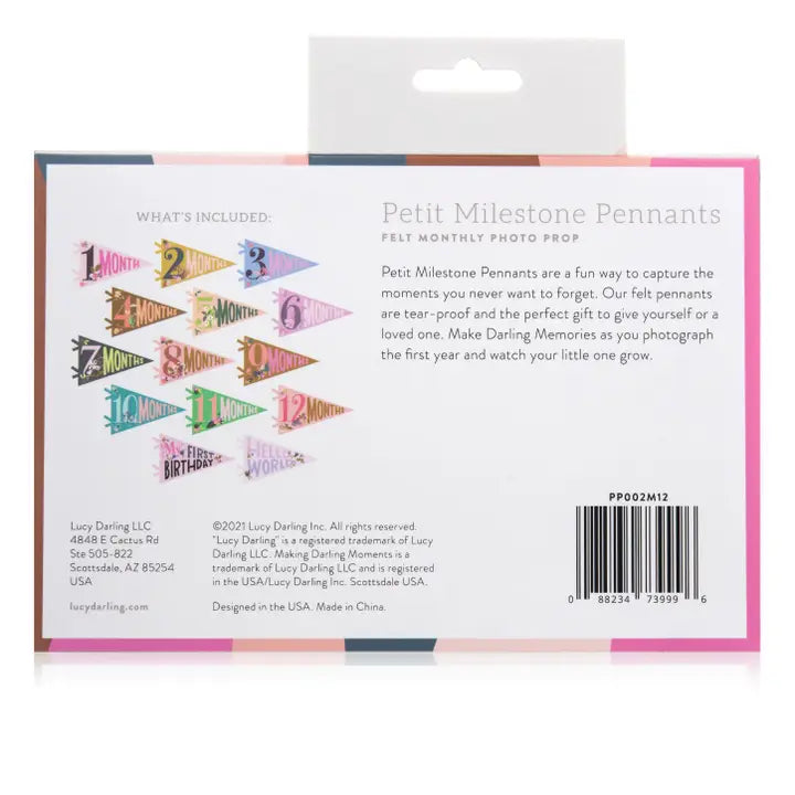 LITTLE ARTIST BABY MILESTONE PENNANT SET