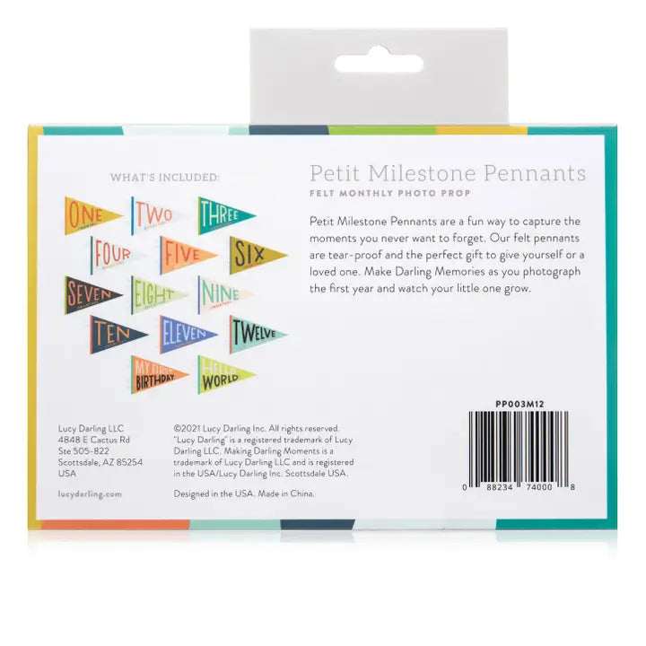 LITTLE KALEIDOSCOPE BABY MILESTONE PENNANT SET