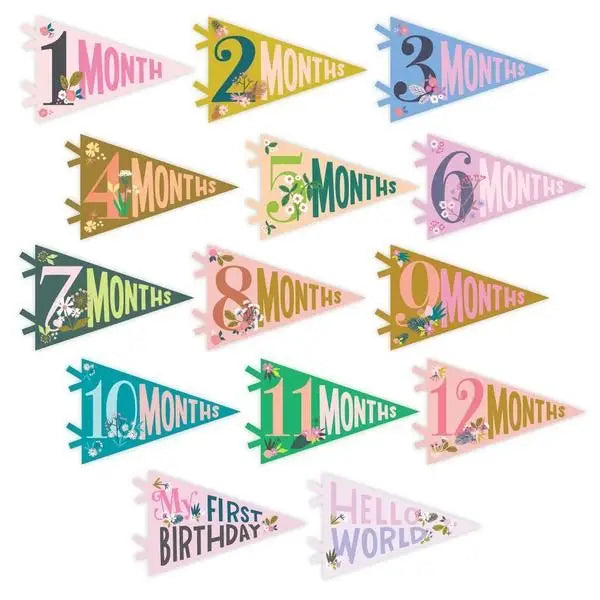 LITTLE ARTIST BABY MILESTONE PENNANT SET