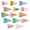 LITTLE ARTIST BABY MILESTONE PENNANT SET