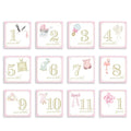 CLASSIC GIRL MILESTONE CARD SET