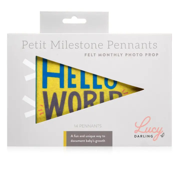 LITTLE KALEIDOSCOPE BABY MILESTONE PENNANT SET